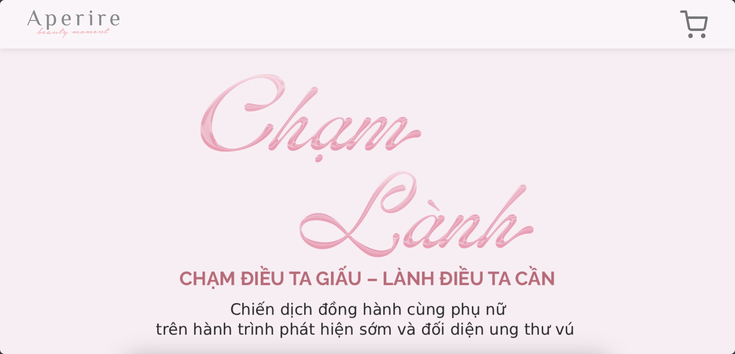 Aperire Vietnam Project